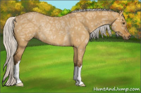 Horse Color:Silver Buckskin Ice Dun Rabicano 