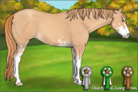 Horse Color:Gold Champagne Sabino