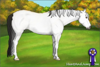 Horse Color:Gray White Spotted Buckskin Dun 