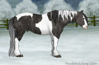 Horse Color:Grullo Ice Splash Tobiano 