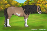 Horse Color:Bay Dun Splash Frame 