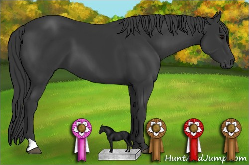Horse Color: Unknown 