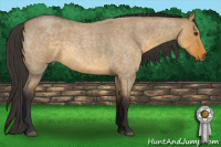 Horse Color:Buckskin Roan Dun Rabicano