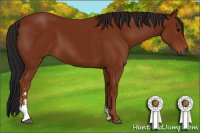 Horse Color:Gray Bay Sabino