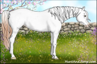 Horse Color:Classic Champagne Snowcap 