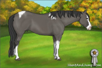 Horse Color:Grullo Splash Tobiano
