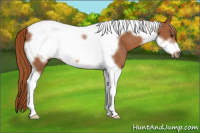 Horse Color:Chestnut Tobiano Frame 