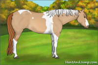 Horse Color:Red Dun Tobiano 