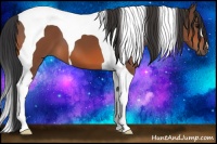 Horse Color:Bay Tobiano 