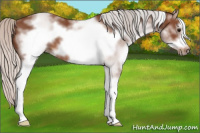 Horse Color:White Spotted Silver Bay Frame 