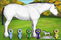 Horse Color:Gray White Spotted Blue Roan 