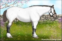 Horse Color:Brown Roan Near Fewspot 