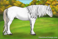 Horse Color:Buckskin Roan Dun Leopard 
