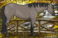 Horse Color:Brown Dun
