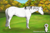 Horse Color:Black Sabino Splash 