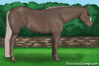 Horse Color:Silver Black 