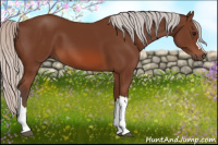 Horse Color:Silver Bay 