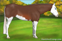 Horse Color:Silver Brown Splash 