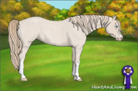 Horse Color:Smoky Creme Roan