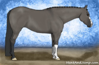 Horse Color:Grullo 