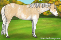 Horse Color:Silver Buckskin Ice Sabino 