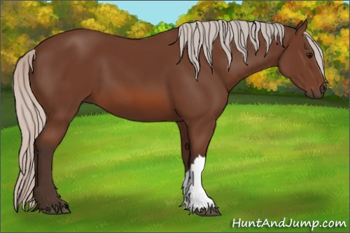 Horse Color: Silver Bay 