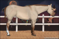 Horse Color:Red Dun 