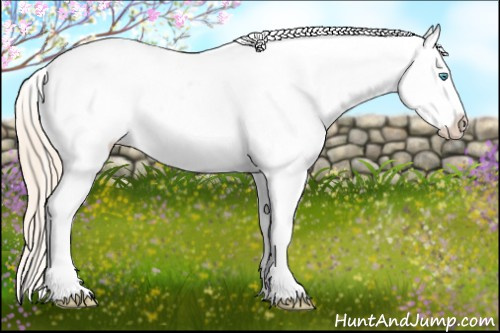 Horse Color: Perlino Near Leopard 