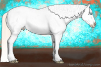 Horse Color:Perlino Ice Sabino Splash Appaloosa