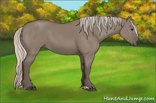Horse Color: Silver Grullo 