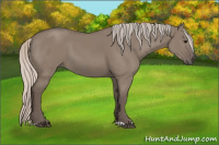 Horse Color:Silver Grullo