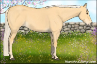 Horse Color:Palomino Roan Dun