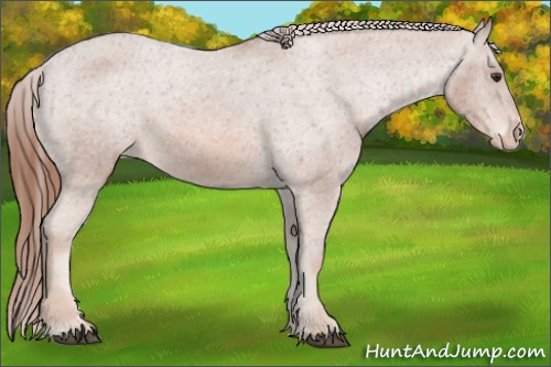 Horse Color: Chestnut Varnish 