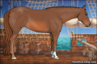 Horse Color:Liver Chestnut 