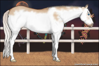 Horse Color:Silver Bay Dun Sabino Splash Frame 