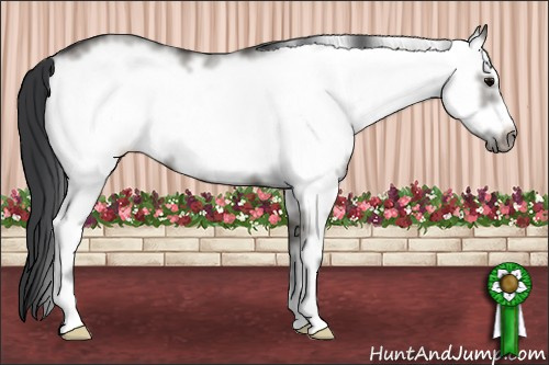 Horse Color: White Spotted Grullo Frame 