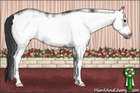 Horse Color:White Spotted Grullo Frame 