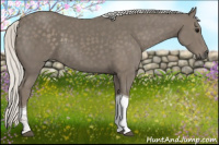 Horse Color:Silver Smoky Black Tobiano 