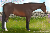 Horse Color:Brown 