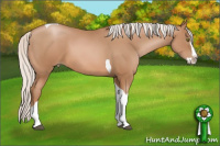 Horse Color:White Spotted Silver Brown Pearl Splash Tobiano