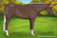 Horse Color:Silver Brown