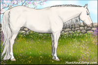 Horse Color:Cremello Dun 