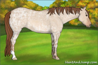 Horse Color:Red Dun Ice 