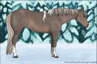 Horse Color:Silver Black Sabino Tobiano 