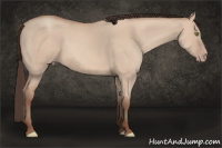 Horse Color:Amber Champagne Dun 