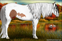 Horse Color:Bay Splash Tobiano Rabicano