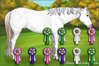 Horse Color:Brown Roan Appaloosa 