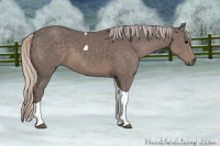 Horse Color:Silver Black Sabino Tobiano 