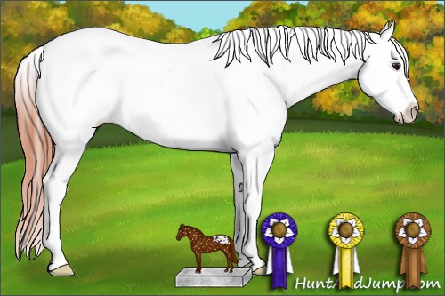 Horse Color: Classic Champagne Near Leopard 