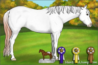 Horse Color:Classic Champagne Near Leopard 